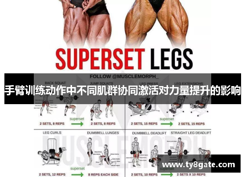 手臂训练动作中不同肌群协同激活对力量提升的影响